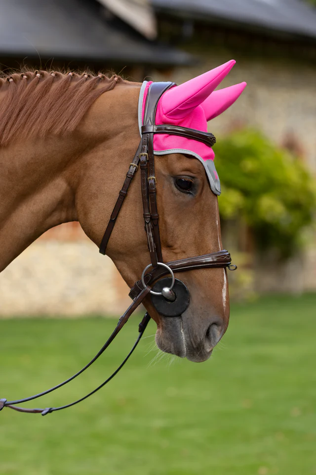 Woof Wear Noise Cancelling Hi Vis Fly Veil - Image 4