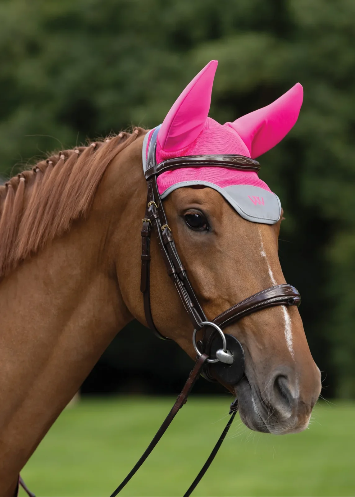 Woof Wear Noise Cancelling Hi Vis Fly Veil - Image 5