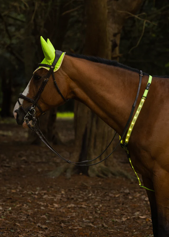 Woof Wear Noise Cancelling Hi Vis Fly Veil - Image 3