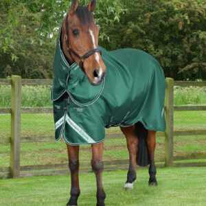 Premier Equine 100g Stratus 600D Turnout Rug with Neck Cover 
