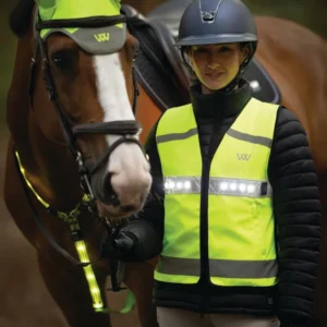 Woof Wear LED Riding Vest