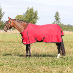 HyCONIC 200g Turnout Rug by Hy Equestrian