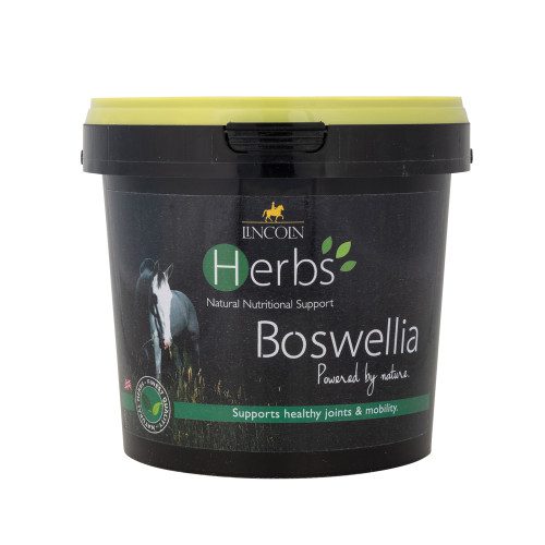 Lincoln Herbs Boswellia