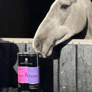 Carr & Day & Martin Grooming Duo