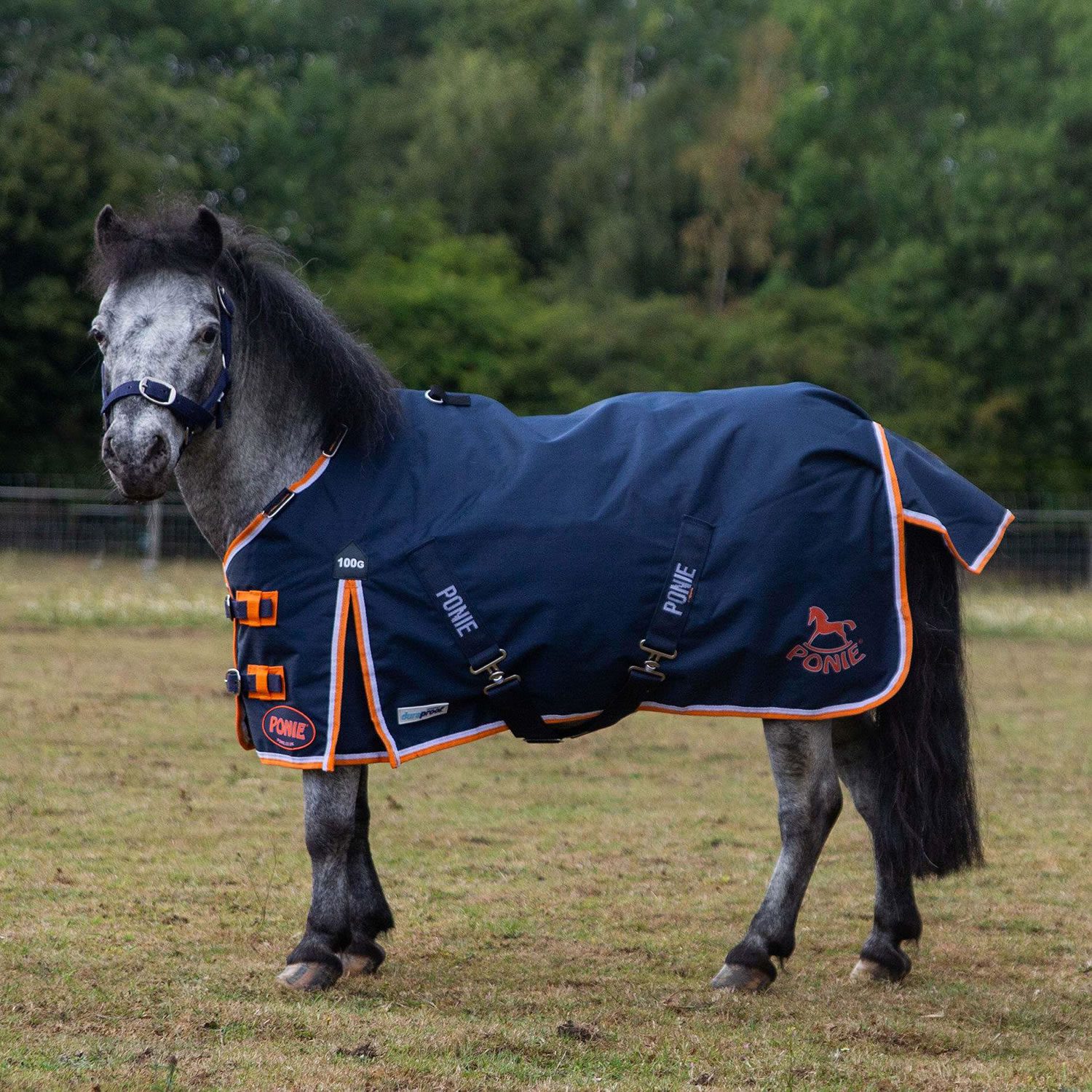 Gallop Ponie Duraproof 100g Turnout
