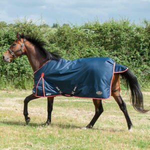 Gallop Trojan 200g Turnout Duraproof