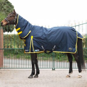 Gallop Trojan 200g Combo Turnout Duraproof