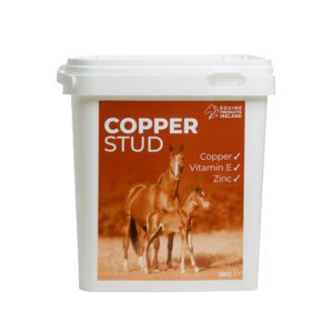 Copper Stud 2kg by Equine Products Ireland