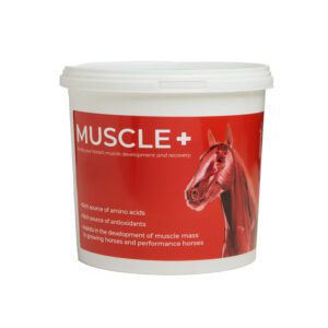 Muscle + 1.5kg by Equine Products Ireland