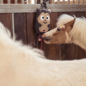 Eskadron Hamster Horse Toy