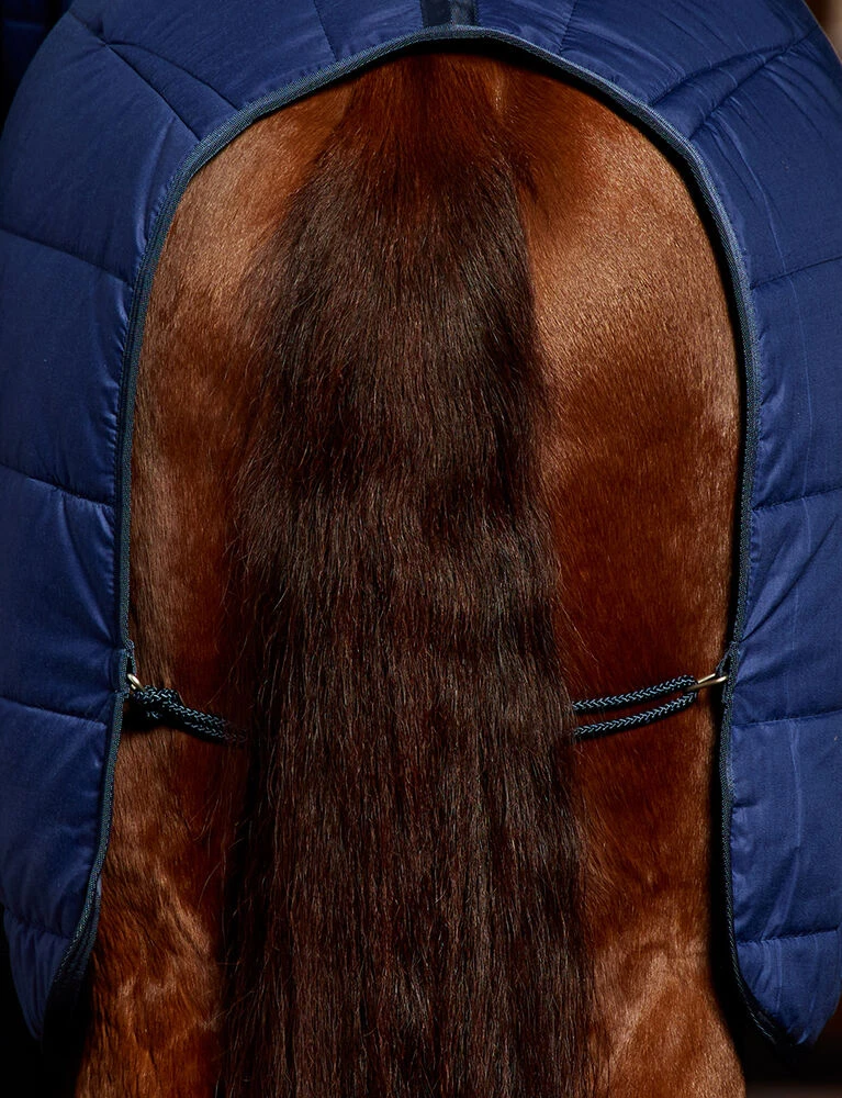 Weatherbeeta 220g ComFiTec Under Rug Combo Neck - Image 4