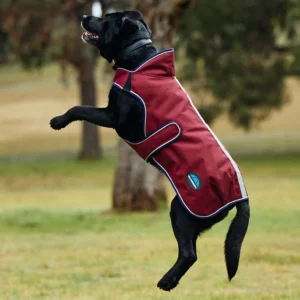 Weatherbeeta Deluxe Waterproof Dog Coat ComFiTec Premier