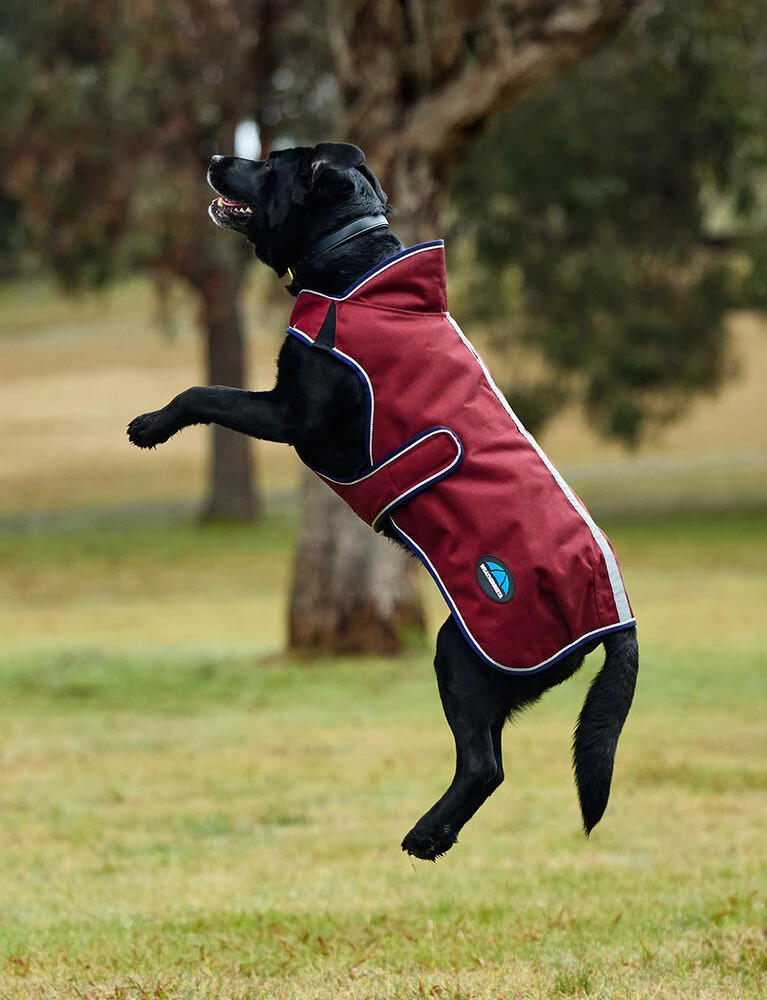Weatherbeeta Deluxe Waterproof Dog Coat ComFiTec Premier