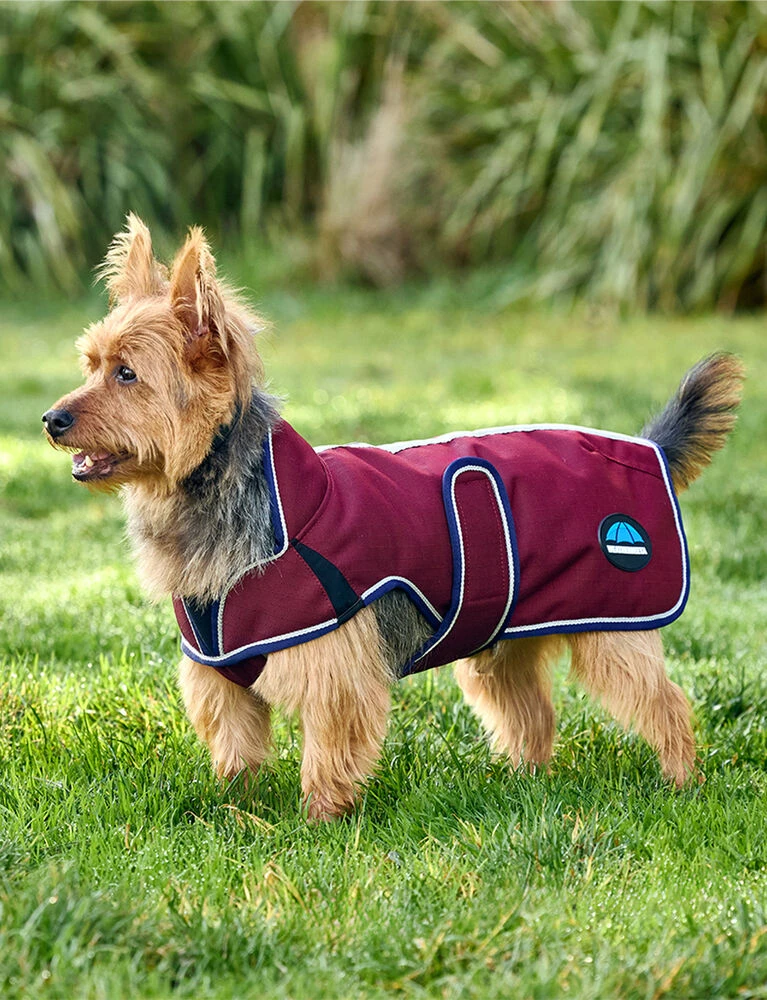 Weatherbeeta Deluxe Waterproof Dog Coat ComFiTec Premier - Image 2