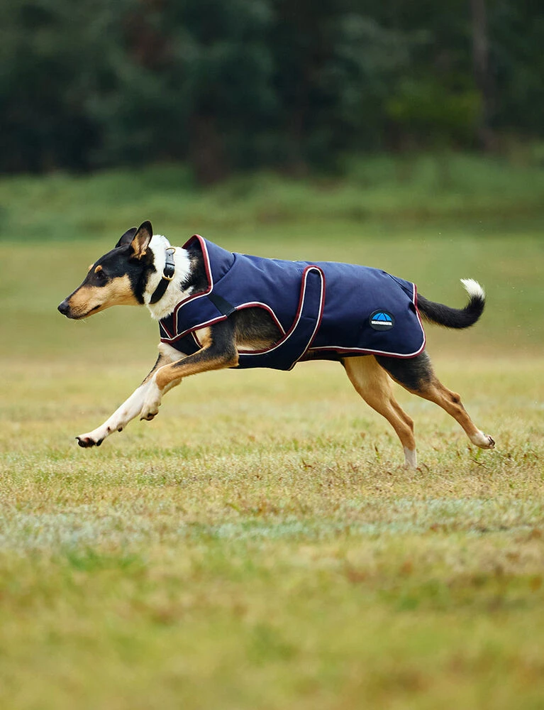 Weatherbeeta Deluxe Waterproof Dog Coat ComFiTec Premier - Image 3