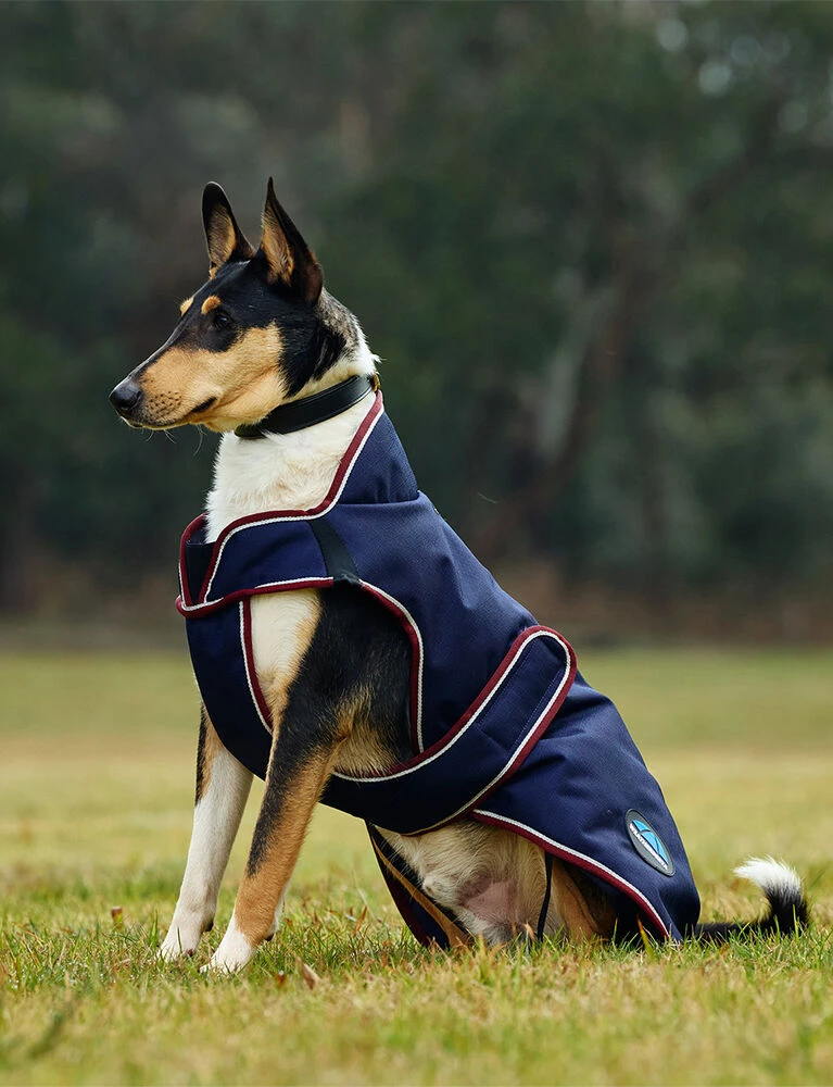 Weatherbeeta Deluxe Waterproof Dog Coat ComFiTec Premier - Image 5