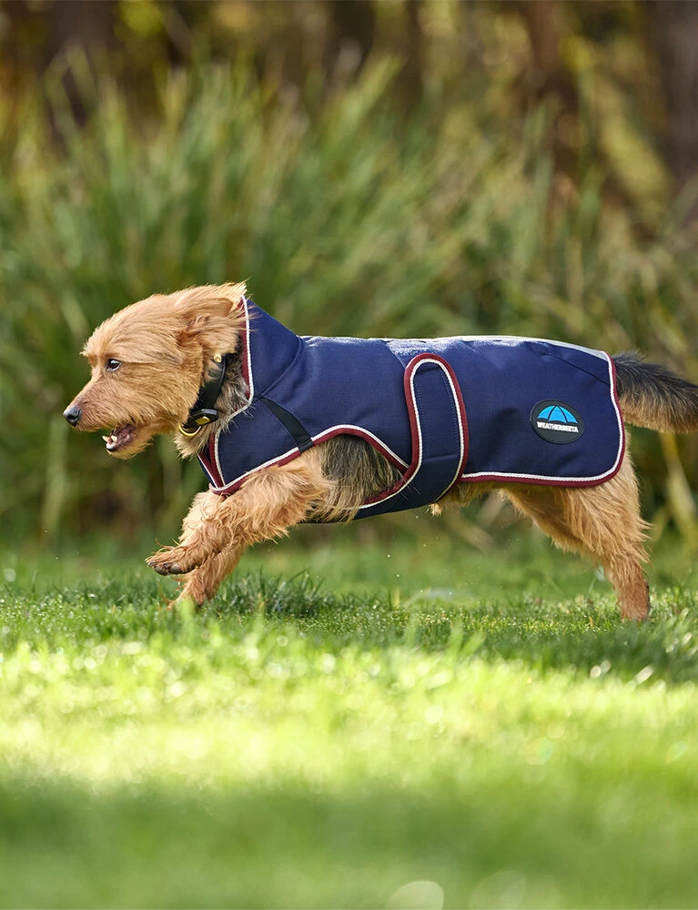 Weatherbeeta Deluxe Waterproof Dog Coat ComFiTec Premier - Image 6