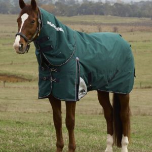 Weatherbeeta 100g ComFiTec Plus Dynamic Detach-A-Neck Turnout 