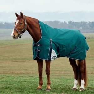 Weatherbeeta 100g ComFiTec Plus Dynamic High Neck Turnout