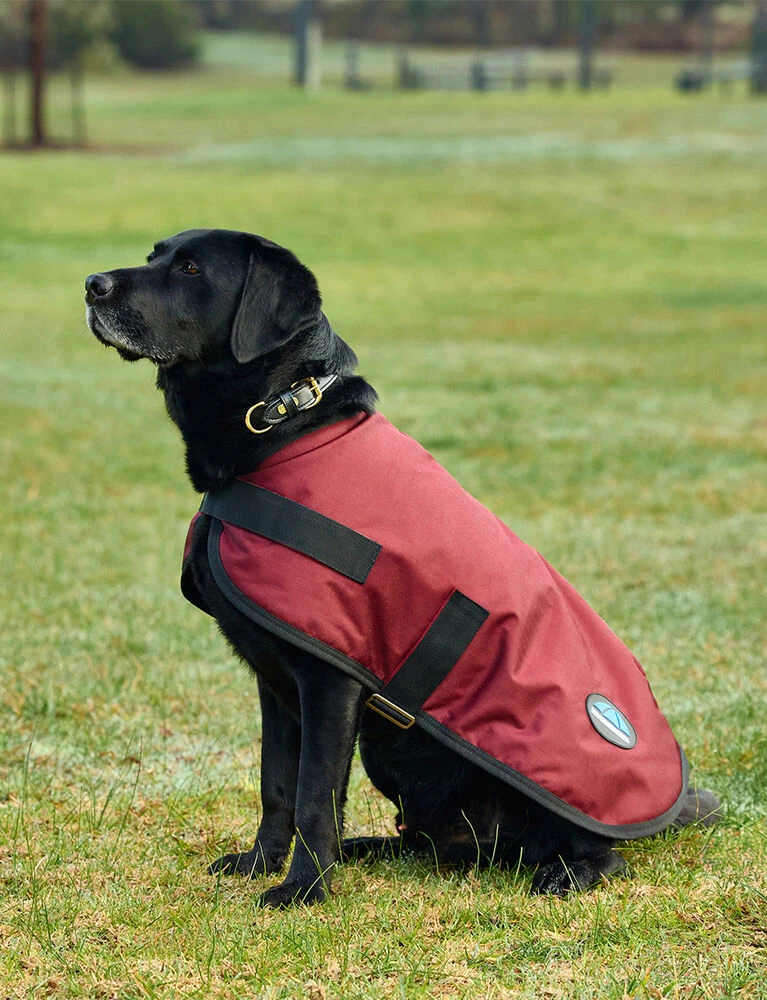 Weatherbeeta Waterproof Dog Coat ComFiTec Classic - Image 3