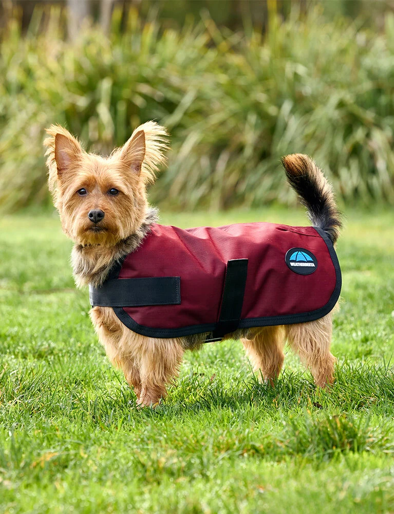 Weatherbeeta Waterproof Dog Coat ComFiTec Classic - Image 7