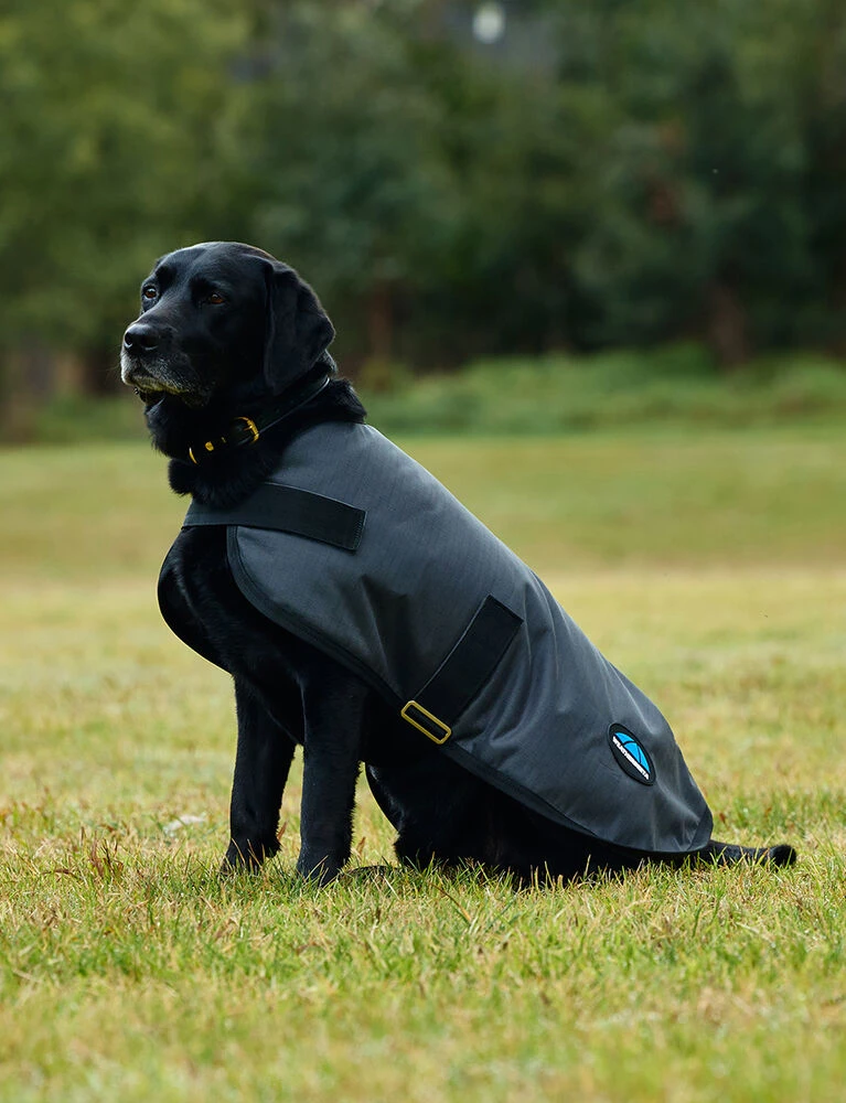 Weatherbeeta Waterproof Dog Coat ComFiTec Classic - Image 2