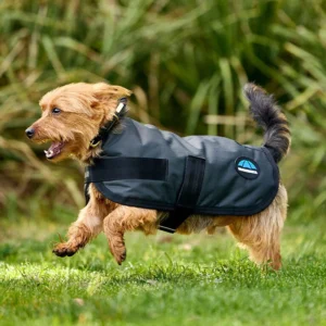 Weatherbeeta Waterproof Dog Coat ComFiTec Classic 