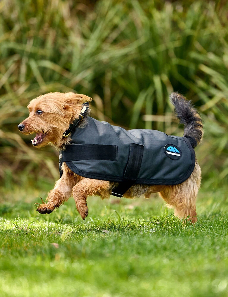 Weatherbeeta Waterproof Dog Coat ComFiTec Classic