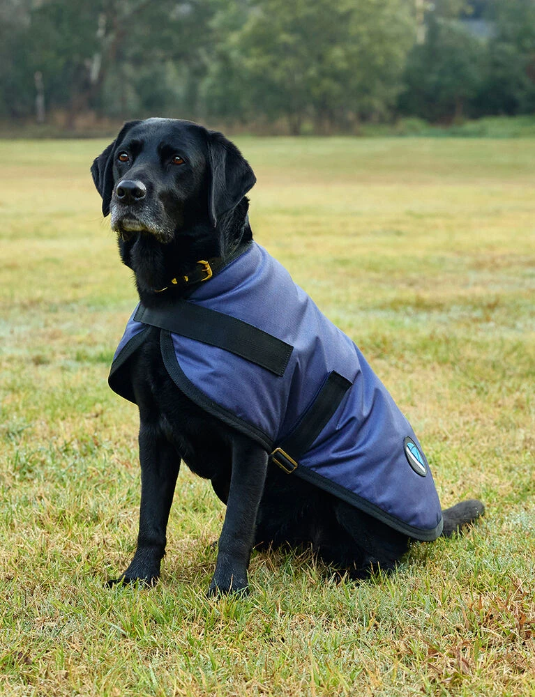 Weatherbeeta Waterproof Dog Coat ComFiTec Classic - Image 5