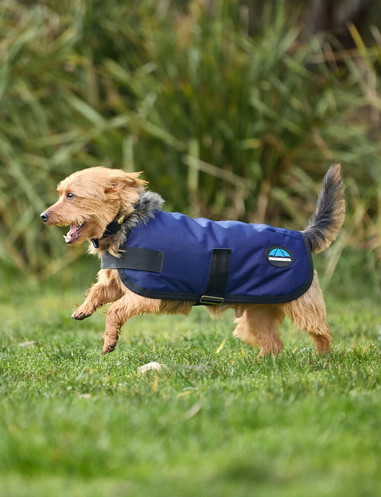 Weatherbeeta Waterproof Dog Coat ComFiTec Classic - Image 4