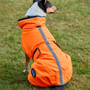 Weatherbeeta Reflective Dog Coat ComFiTec 300D Deluxe Showerproof 