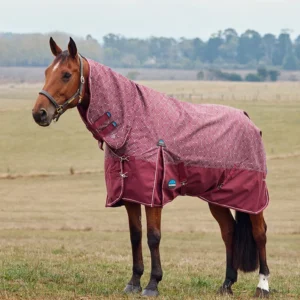 Weatherbeeta Limited Edition ComFiTec 220g Turnout Combo