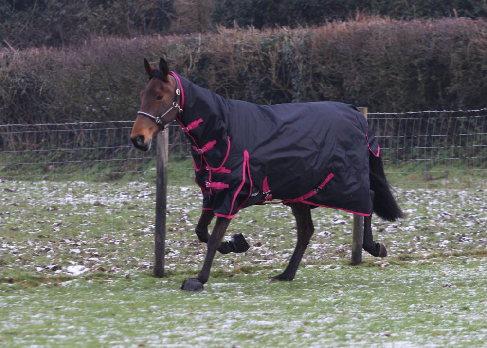 Jump Turnout 350g Combo Rug - Image 3