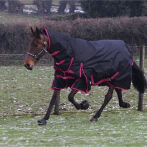 Jump Turnout 350g Combo Rug