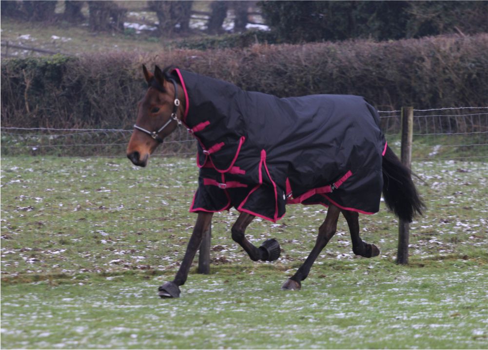 Jump Turnout 350g Combo Rug