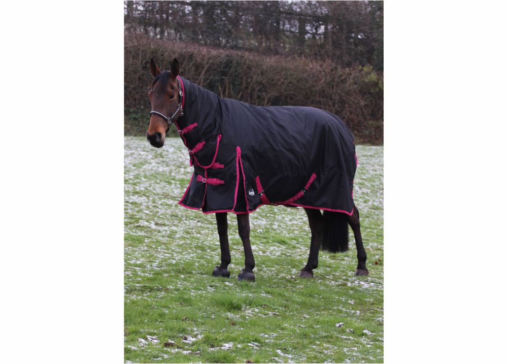 Jump Turnout 350g Combo Rug - Image 4