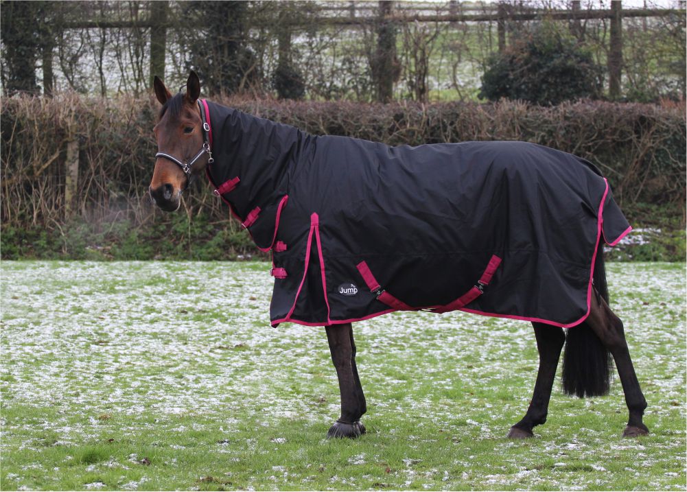 Jump Turnout 350g Combo Rug - Image 2