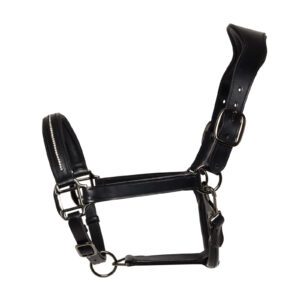 Cameo Equine Leather Headcollar 