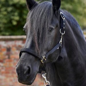 Firefoot Field Safe Adjustable Headcollar