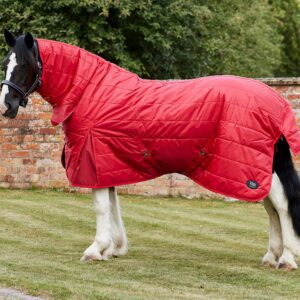 Firefoot 200g Fixed Neck Stable Rug