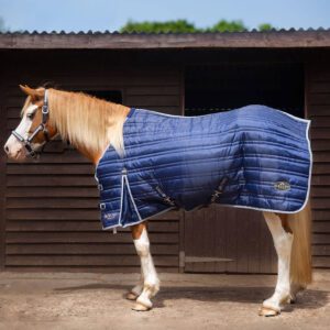 Gallop Trojan 300g Stable Rug