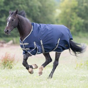 Gallop Trojan 300g Turnout Duraproof