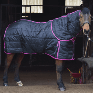 Jump Dual 200g Stable & Neck Set