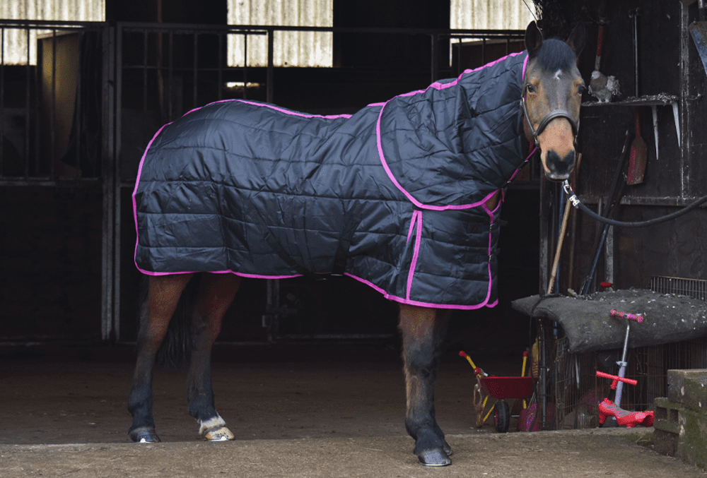 Jump Dual 200g Stable & Neck Set