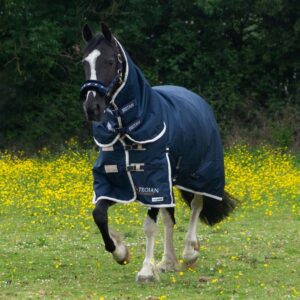 Gallop Trojan Duraproof 100g Combo Turnout 