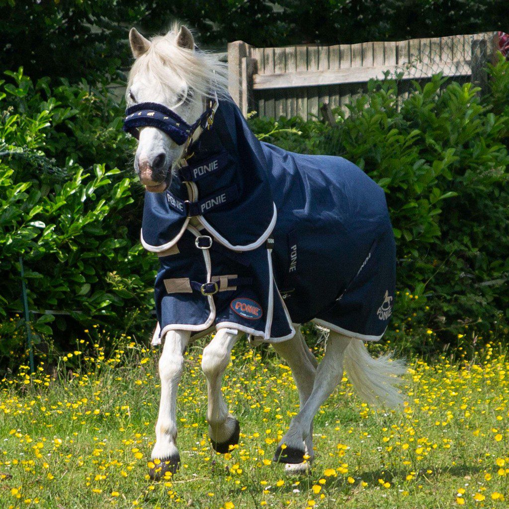 Gallop Ponie Duraproof 100g Combo Turnout - Image 2