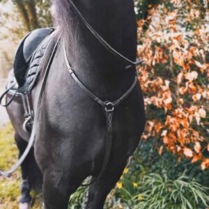 Cameo Core Hunt Breastplate