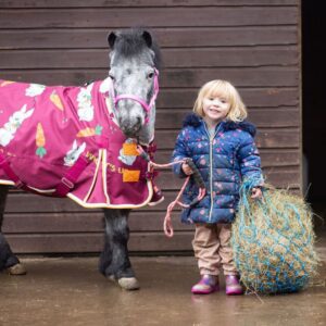 Gallop Haynet Small