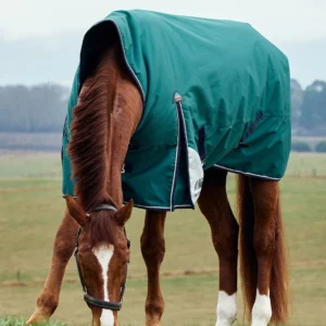 Weatherbeeta 220g ComFiTec Plus Dynamic High Neck Turnout