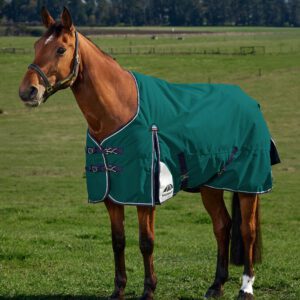 Weatherbeeta 220g ComFiTec Plus Dynamic Turnout